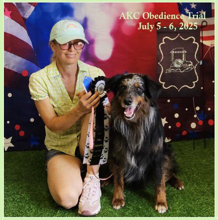 AKC Obedience